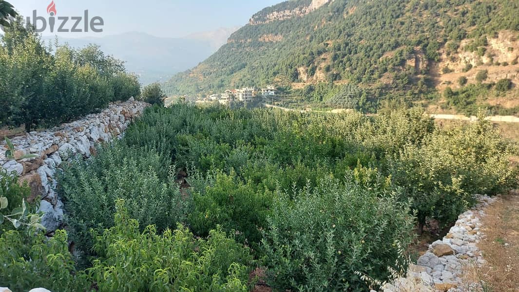 5000m2 land+mountain view for sale in Ghabat/Jbeil- أرض للبيع في جبيل 1