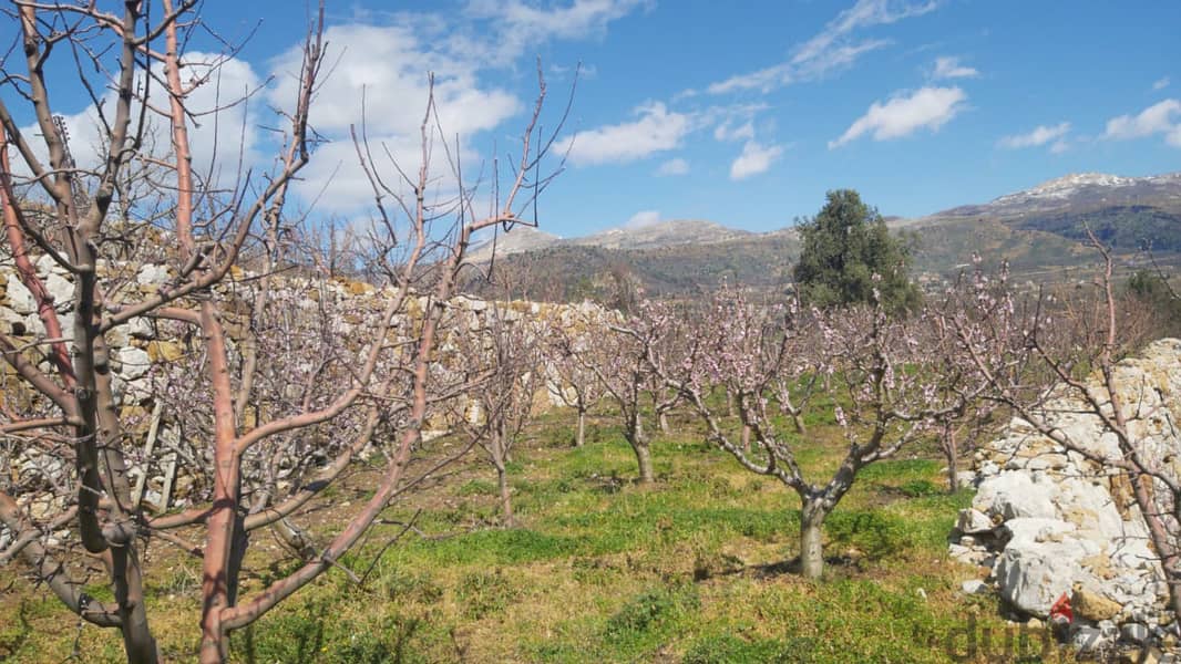 5000m2 land+mountain view for sale in Ghabat/Jbeil- أرض للبيع في جبيل 2