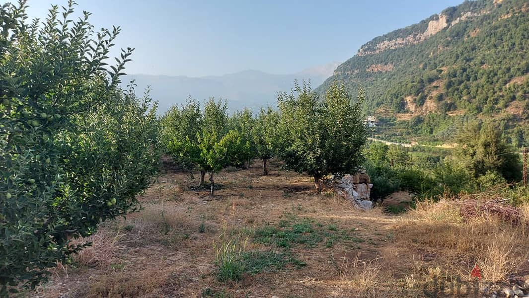 5000m2 land+mountain view for sale in Ghabat/Jbeil- أرض للبيع في جبيل 4