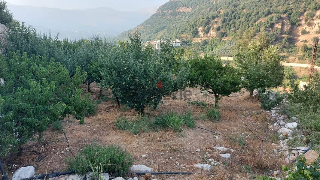 5000m2 land+mountain view for sale in Ghabat/Jbeil- أرض للبيع في جبيل 5