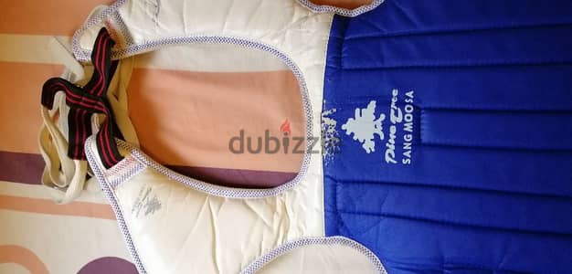 Taekwondo Chest Protection