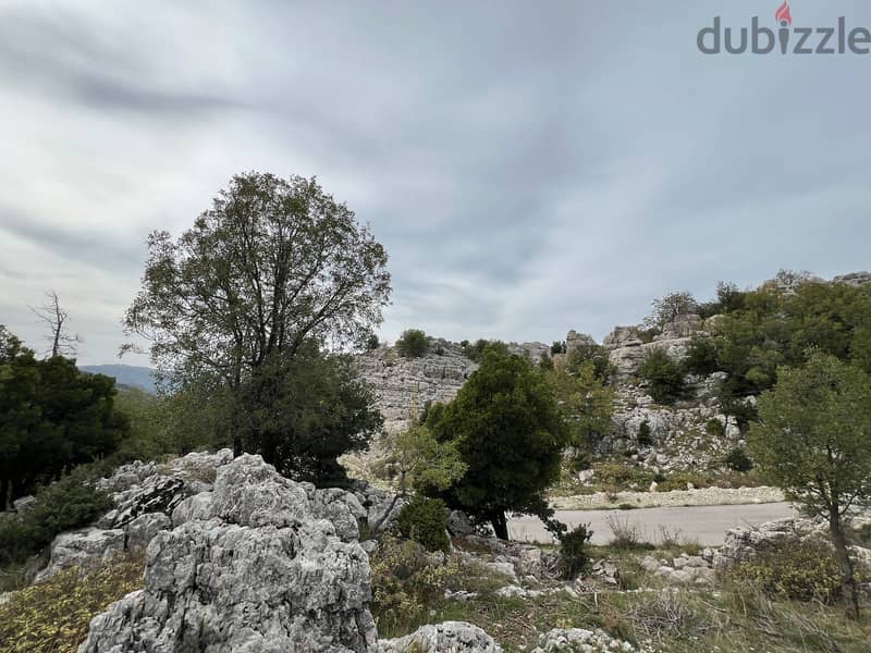 A 1295 m2 land + open mountain view for sale in Laklouk 1