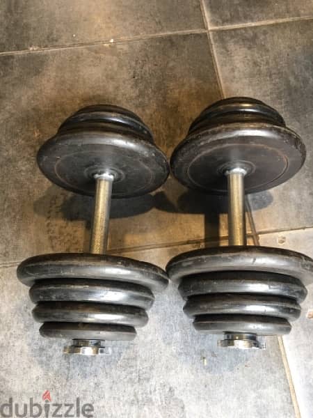 Dubizzle dumbbells online