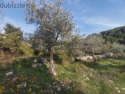 Beautiful Land | Beit Hebbak