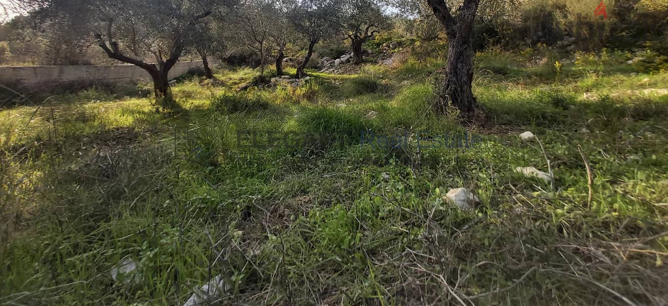 Beautiful Land | Beit Hebbak 1