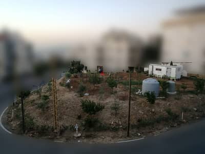 Land for rent in Mar Roukoz أرض للإيجار في مار روكوز