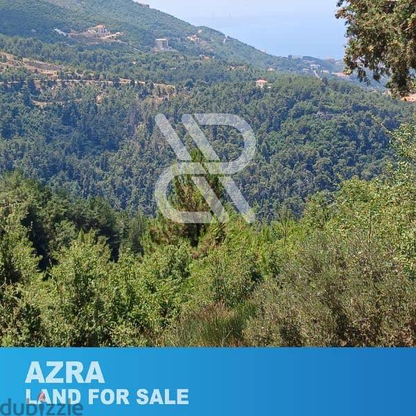 Land for sale in Azra - أرض للبيع في عذرا 1