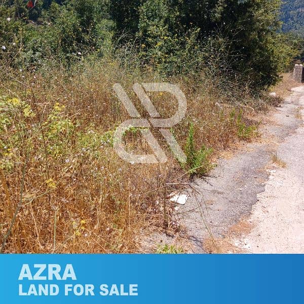 Land for sale in Azra - أرض للبيع في عذرا 2