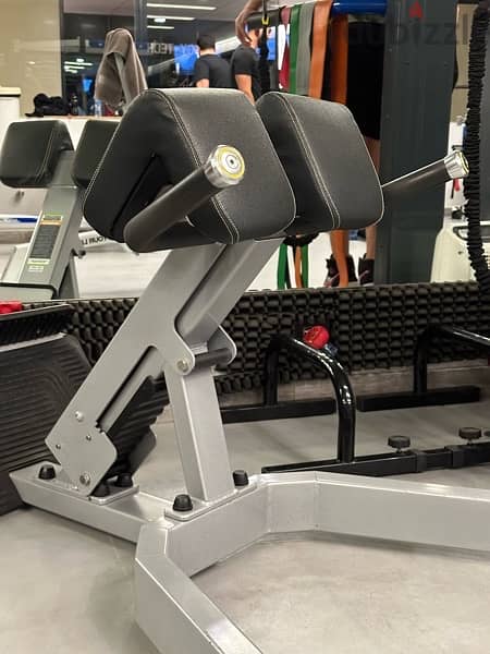 hyperextension machine 1