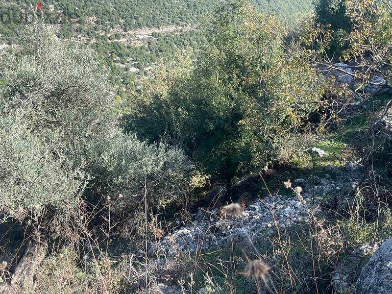 A 800 m2 land having an open mountain view for sale in Ras osta 1