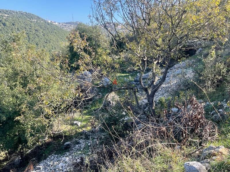 A 800 m2 land having an open mountain view for sale in Ras osta 2
