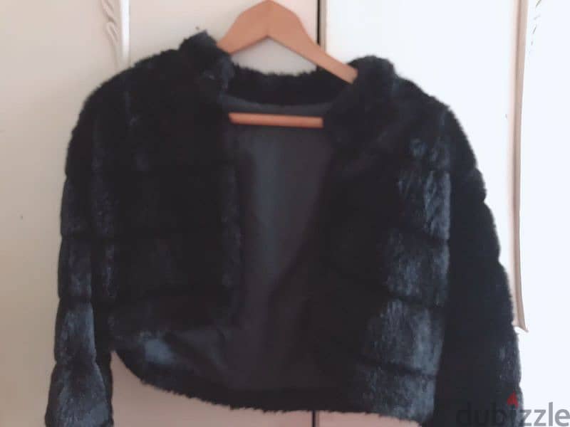 back vision anuthentic fur 1