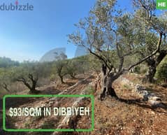 $93/sqm great location land in Dibbiyeh/الدبية with view REF#HE98582
