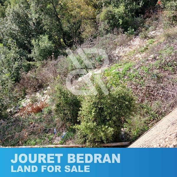 Land for sale in Jouret Badran/ Ghbeleh - جورة بدران/ غباله 1