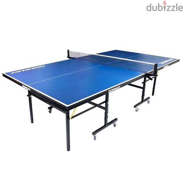Ping Pong Table 0