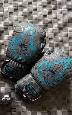 Assassin Creed Boxing gloves 0