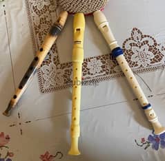 Soprano recorder / flute
