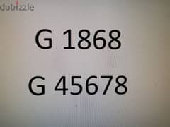 4 and 5 digit plate numbers