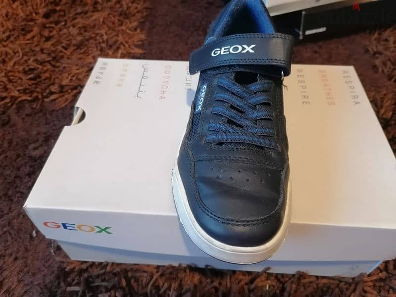 Geox shoe 1