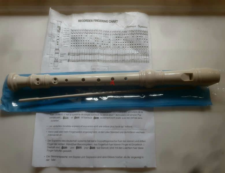 karl shneider flute new 6$ 3