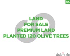 5250 sqm land for sale in Akkar-khraybeh/عكار-الخريبة REF#GA99058 0