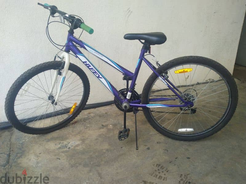 Dubizzle bike best sale