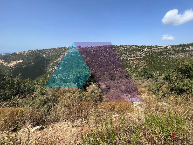 A 835 m2 land+open mountain view for sale in Haqel-أرض للبيع في حقل 2