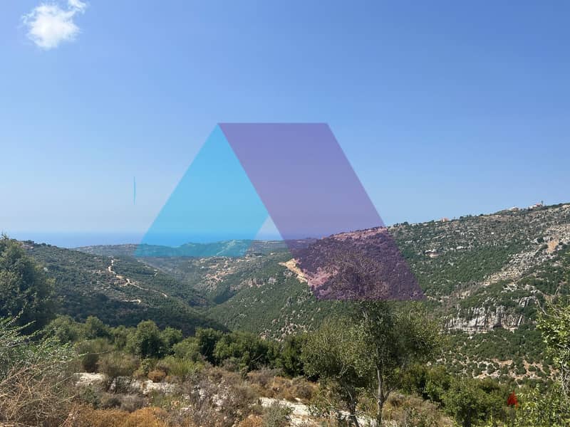 A 835 m2 land+open mountain view for sale in Haqel-أرض للبيع في حقل 3