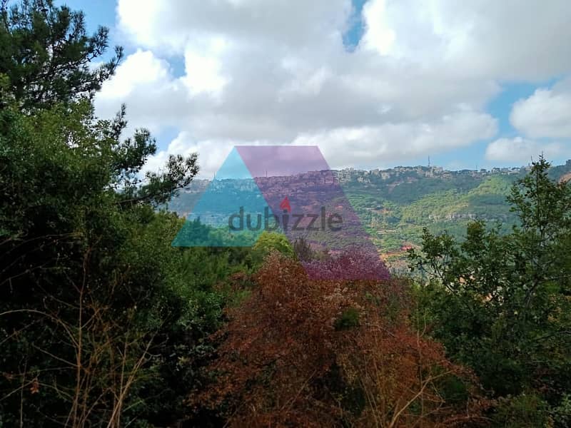 Land + open sea view for sale 8 min from MonteVerde carting. (Quortada) 3