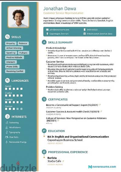 Professional CV