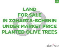 1149 sqm Land for sale in Zgharta-Bchenin/زغرتا-بشنين REF#GA99261
