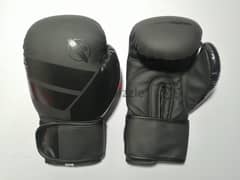 Hayabusa Boxing gloves