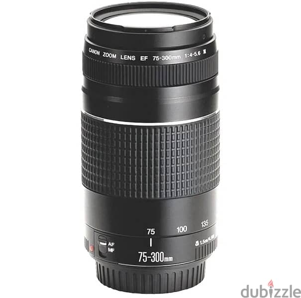 Canon EF 75-300mm f/4-5.6 III Telephoto Zoom Lens 1
