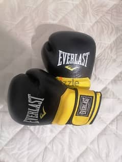 Everlast boxing/mma gloves
