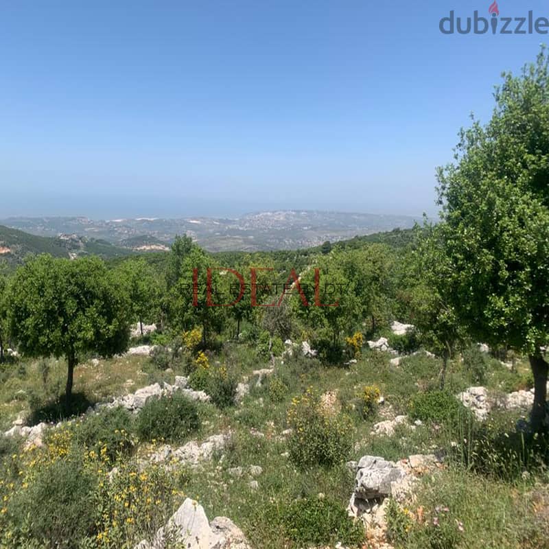 Land for Sale in Asia - Batroun عقار للبيع في اسيا بترون 3