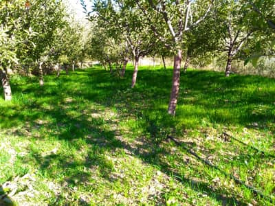 RWK248GZ - Land For Sale in Hrajel - أرض للبيع في حراجل