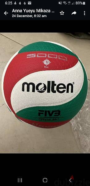 Molten Volleyball