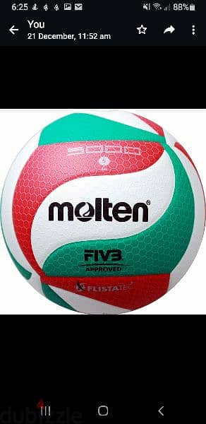 Molten Volleyball