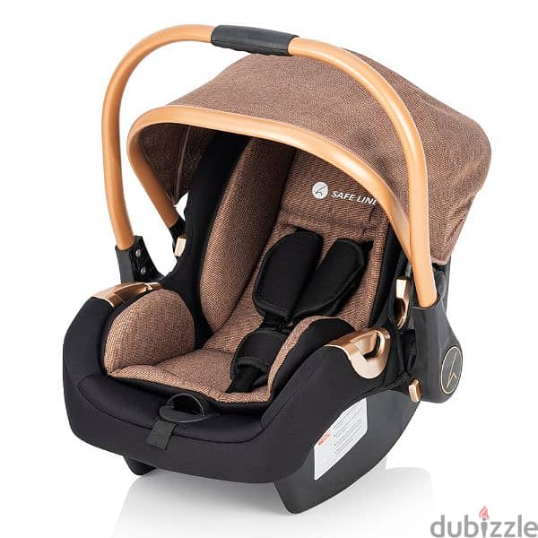 Baby Carseat 2