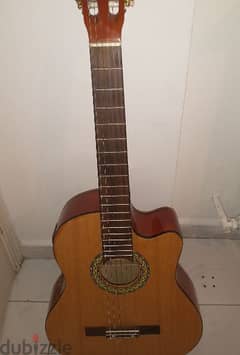 Electro-Acoustic Guitar WITH CASE Karl Schneider (Barely used)