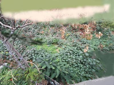 Land for sale in Achrafieh أرض للبيع