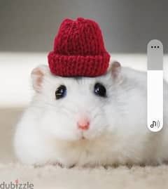 Miximx Enfants Électrique Magie Son Petit Hamster Liban