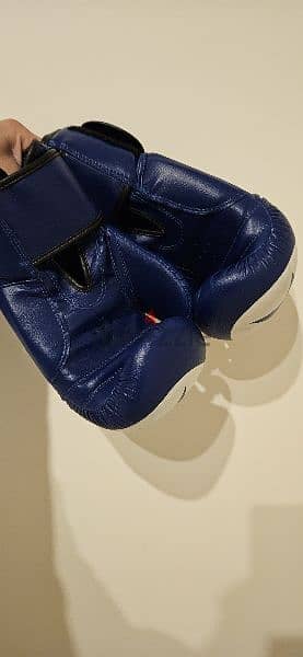 Boxing gloves 1