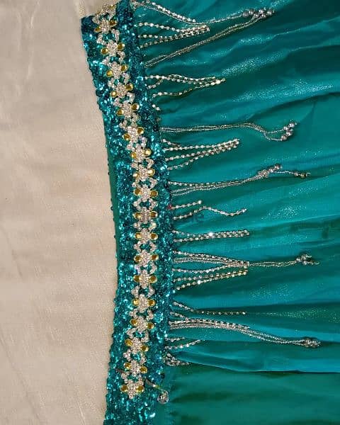 Belly dance costume 3