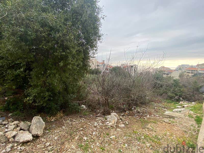 Spotless Prime Land In The Heart Of  Adma For Sale 3