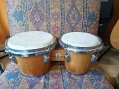 Parrot bongos Oak wood