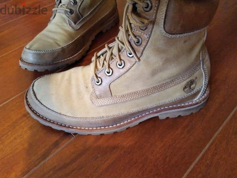 Timberland 1