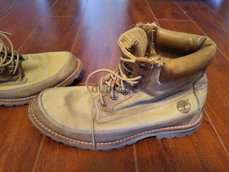 Timberland 2