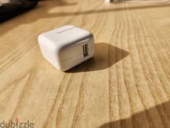 Original Apple charger
