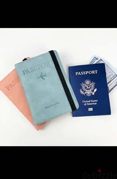 Passport Travel Wallet 2